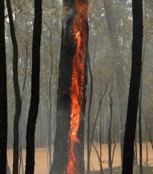 ‘You sing the country before you burn it’