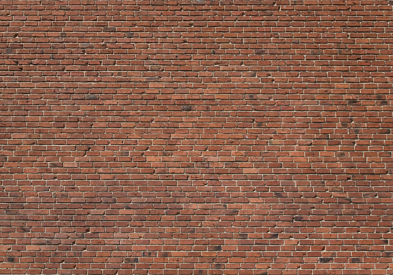 Would you drive into a brick wall?